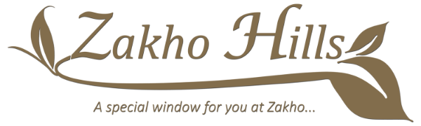 zh-logo